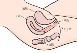 激情过后如何快速恢复体力